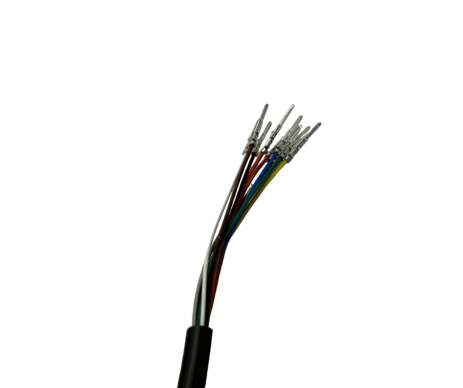 Display EY2 Dualtron Togo
