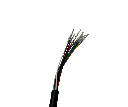 Display EY2 Dualtron Togo