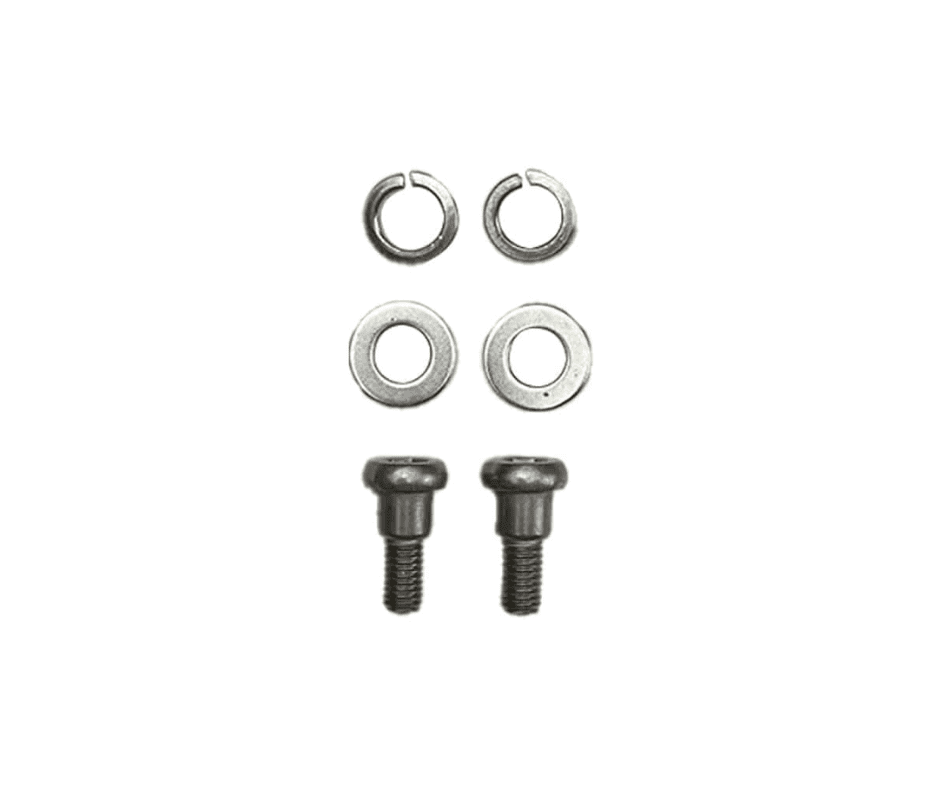 Vis roue arrière Xiaomi M365 & Pro (x2)