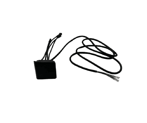 Display EY2 Dualtron Togo