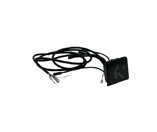 Display EY2 Dualtron Togo LTD