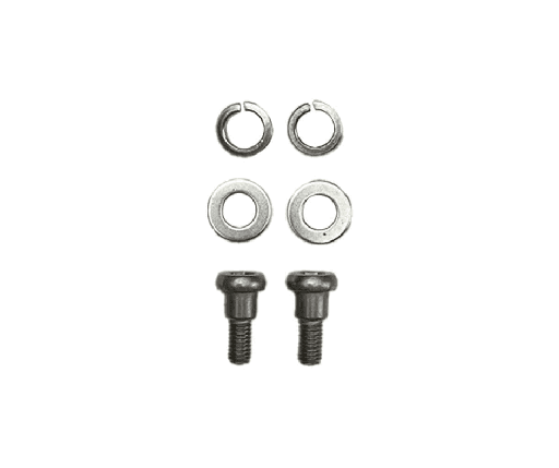 Vis roue arrière Xiaomi M365 & Pro (x2)